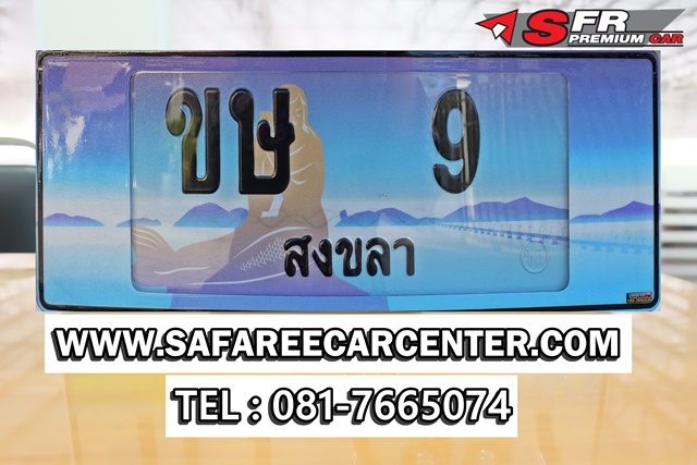 DSCF0231