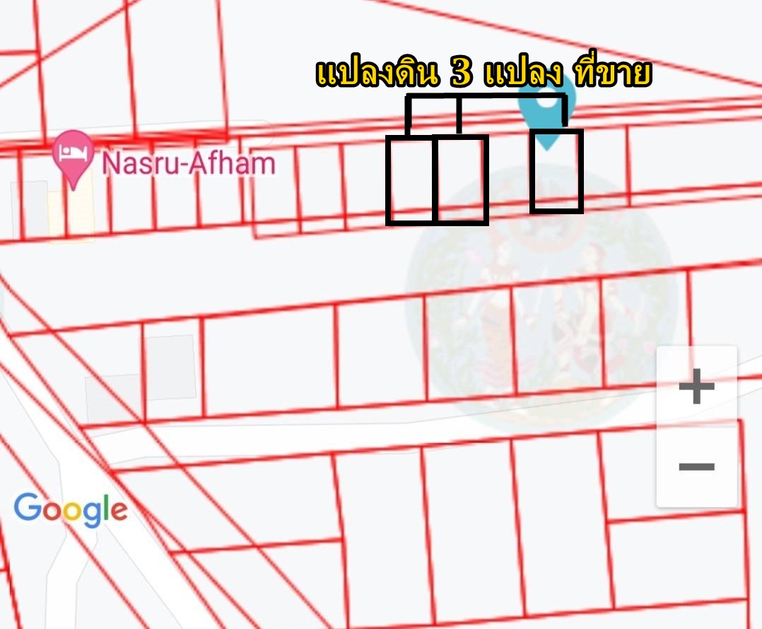 ขายที่ดิน พร้อมใช้งาน ตำบลพะวง อำเภอเมือง จังหวัดสงขลา พื้นที่ 3 แปลง  แปลงละ 50 ตารางวา