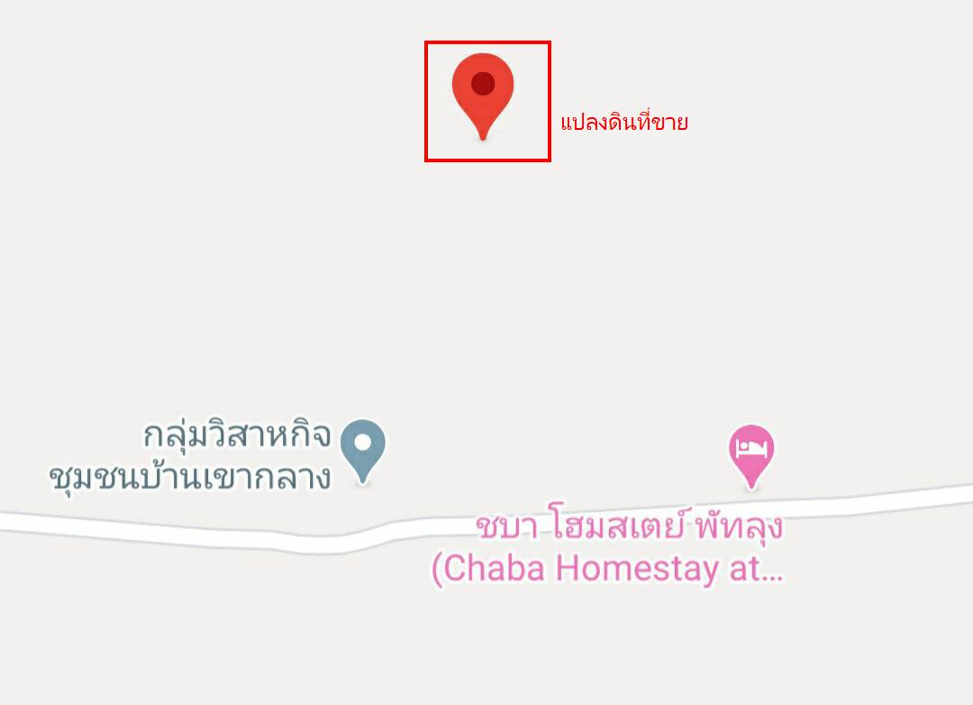 ขายที่ดินพร้อมใช้งาน ตำบลปันแต พื้นที่ 1งาน 01ตารางวา