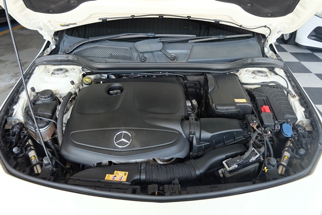 DSCF6598